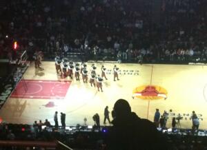 Bulls_1