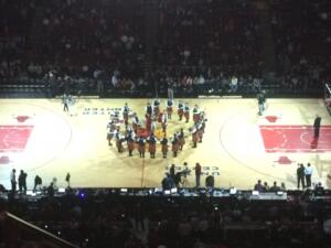 Bulls_2